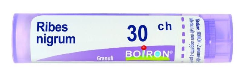 RIBES NIGRUM 30CH GR